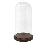 Banberry Designs 6 Inch Glass Dome Display Cloche - Protective Bell Jar Decorative Glass Cover with Natural Wooden Base