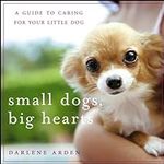 Small Dogs, Big Hearts: A Guide to 