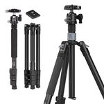 SmallRig Carbon Fiber Tripod with Center Column, Detachable Monopod, 360° Ball Head, Quick Release Plate, Load up to 26.5 lbs/12 kg - 4059