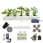 Home Fresh Hydroponics Kit for Home - Home Pipe Outdoor - 5 Planter Outdoor DWC Hydroponic System - Leafy Greens - DIY - Beginner Kit - Reusable - All Inclusive kit - Outdoor