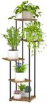 Digtokore Plant Stand Indoor, 5-Tie