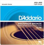 D'Addario EJ16 Phosphor Bronze Ligh