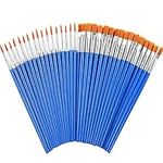 60 Pcs Paint Brushes,Round Flat Small Brush Bulk for Detail Painting