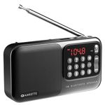 Amkette Pocket Mate FM Radio with Bluetooth Speaker - Type C Charging, Antenna, Multiple Playback 8 Hours Playtime, and Number Pad (Headphone Jack, SD Card, USB Input) (Grey)