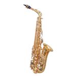 WAXWING AS100 dark gold lacquer Eb alto saxophone professional with hard case