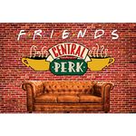 SeekPro 15x10ft Central Perk Friends Tv Show Theme Party Backdrop Red Brick Wall Retro Pub Sofa and Coffee Photography Background for Adult Birthday Ball Party Decorations Portraits Photoshoot SK6247U