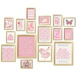 ANERZA 16 PCS Pink Wall Art Decor, Matisse Gallery Wall Prints for Bedroom, Light Pink Posters for Room Aesthetic, Collage Kit Pictures for Living Room, Teen Girls Dorm Home Artwork