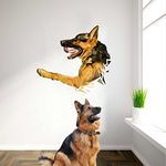 rawpockets Decal ' Pet Dog' Multi-Color Large Size Wall Sticker(Material- PVC Vinyl Matte Finish,Wall Coverage Area -Height -80cm X Width -80cm)(Pack of 2)