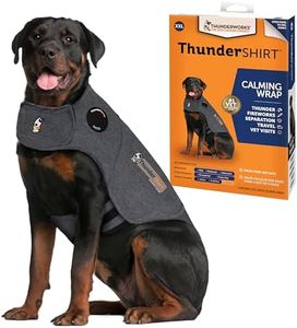 ThunderShi