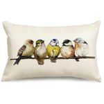 RABUSOFA Watercolor Birds Pillows Decorative Throw Pillows 12x20,Hand-Painted Oil Painting Rustic Birds Lumbar Pillow Cases,Cute Colorful Spring Decorations for Home Couch Sofa Outdoor