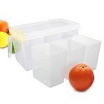 SKYFUN (LABEL) Plastic Refrigerator Freezer Pantry Kitchen Office Stationary Storage Basket Organizer Jar with 3 Smaller Bins Boxes and Lid Cover-1 Set