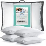 Sealy Anti-Allergy Pillows - Medium Support Bed Pillows for All Sleeping Positions with Fibadown Fibres and Piped Edges - Machine Washable, Pack of 4