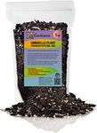 Gardenera Umbrella Plant Premium Potting Mix - Nourish Your Plants with Nature's Finest Ingredients - 1 Quart