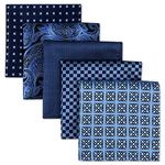 SHLAX&WING 5 Pieces Assorted Mens Silk Pocket Square Handkerchiefs Set Lot 11