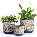 DeeCoo 3 Piece Ceramic Plant pots Indoor Pots Set with Drainage Holes, 5.7/4.7/3.5/inch, Modern Decorative pots Outdoor Plants Lilies, Cacti, Succulents, Snakes, and Bamboo (Blue)