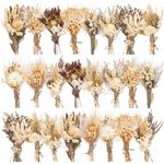 Layhit 24 Pack Boho Dried Flower Bouquet Mini Wedding Handmade Dry Flowers Decor for Vase Crafts DIY Photo Boutonniere for Men Floral Plant Flower for Bridesmaid Child Gift Birthday Decor(Stylish)