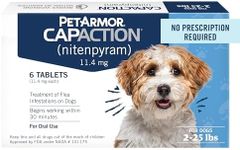 PetArmor CAPACTION (nitenpyram) Ora