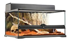 Exo Terra Natural Glass Reptile Terrarium - Medium Low - 60 W cm x 45 D cm x 30 H cm (24 in x 18 in x 12 in)