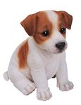 Vivid Arts Jack Russell Terrier Dog Figurine - Brown/White