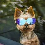 Enjoying Dog Goggles for Small Dogs UV Protection Puppy Sunglasses Windproof Snowproof Pet Glasses, Bright Blue