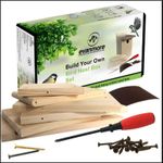 Build Your Own Bird Box Set DIY Kit Birds House Gift Wood For Children Adults Garden Self Assembly Birdhouse Boxes Kits