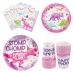 WERNNSAI Watercolor Dinosaur Party Tableware Set - 64 PCS Dinosaur Birthday Party Supplies for Girls Kids Disposable Party Pack Includes Dinner Dessert Plates Napkins Cups Serves 16 Guests