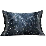 MANSPHIL 100% Mulberry Silk Pillowcase for Hair and Skin, Black Galaxy Pattern - Premium 22 Momme Charmeuse Silk Pillow Cases Cover, Queen Size/20" x 30", Hidden Zipper