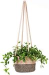 RUIZHIXUAN Hanging Planter Basket Jute Rope Woven Plant Hangers Indoor Hanging Plant Holder Up to 7" Pot Macrame Modern Storage Organizer Home Decor (Jute)