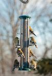 Woodlink NATUBE9 Audubon Plastic 8 Port Thistle Finch Feeder, Green, 15-Inch-New Version