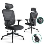 Eucladoceros 【Rubber Caster】 Ergonomic Office Chair with 3D Lumbar Support & Adjustable Headrest, High Back Desk Chair with 3D Armrest & Adjustable Backrest Swivel Task Chair Black