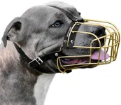 BRONZEDOG Pitbull Dog Muzzle Metal Mask Amstaff Wire Basket Pit Bull Adjustable Leather Straps for Large Dogs (Gold)
