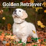 Golden Retriever Puppies | 2025 7 x 14 Inch Monthly Mini Wall Calendar | Plastic-Free | BrownTrout | Animals Dog Breeds Puppy