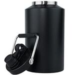 Kerilyn Insulated Jug with Handle, 
