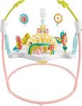 Fisher-Price Baby Bouncer Activity 