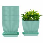 JD FRESH Flower Pot for Living Room, Balcony, Home Planters, Terrace, Garden Etc| Indoor & Outdoor Home Gardening Pots for Plants(Square, Colour-Peacock)