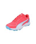 Puma Unisex-Adult 24 FH Rubber Fire Orchid-White-Luminous Blue Cricket Shoe - 8 UK (10769902)