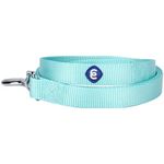 Blueberry Pet Durable Classic Dog Leash 4 ft x 1", Mint Blue, Large, Basic Nylon Leashes for Dogs