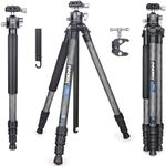 Innorel Carbon Fiber Tripod P254C 62.5“ Compact Lightweight Tripod & Monopod For Dslr Camera Stand Support With Low Gravity Center Ball Head Special-Shaped Center Column Max Load 26.5 Lbs 12 Kg
