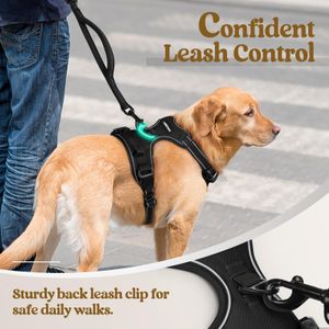 rabbitgoo Large Dog Harness, No Pull Reflective Vest – Black, XL, 2 Leash Clips