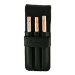 Raphael Le Voyageur Brush Travel Set, Set of 3, Gold
