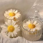 Aile Craft Sunflower Candle in Glass Jar, Soy Wax Long Lasting Jasmine Scented Candles, Aromatherapy Candle Gift for Diwali, Valentine's Day, Birthday, Thanksgiving - (White, Pack of 2)