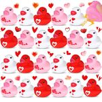 Valentine's Day Rubber Ducks, 24 Pcs Pink Valentine Heart Mini Rubber Ducks Bulk Bath Toys, Rubber Ducks Valentines Day Party Favors for Kids Valentine's Day Party Supplies Classroom Gift Exchange (B)