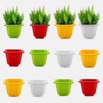 YUCCABE ITALIA SHERA Octa Square 8 Inch Planter 12 Pices Set of Plastic Flower Pot Suitable for Indoor and Outdoor Garden Premium Lightweight Pot for Plants (Multicolor)