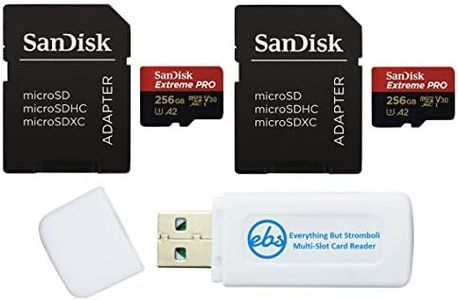 SanDisk Ex