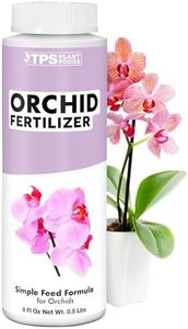 Orchid Fer