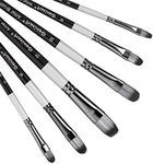 Filbert Paint Brushes Set, 6 Pcs Artist Paintbrushes for Acrylic Oil Watercolor Gouache Painting, Premium Nylon Hair Art Paint Brush for Beginners and Professionals