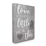 Stupell Industries Home Décor Collection Love Grows Best in Little Houses Stretched Canvas Wall Art