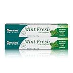 Himalaya Mint Fresh Gel Toothpaste, Fluoride Free to Reduce Plaque & Brighten Teeth, Vegetarian, 175 g (6.17 oz), 2 Pack