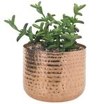 MyGift 6-inch Hammered Style Copper-Tone Metal Succulent Planter Pot