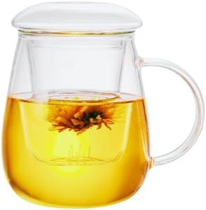 JPPSUJJ Glass Tea Cup with Infuser and Lid, Steeping Mug with Removable Strainer and Lid for Loose Leaf Tea, Borosilicate Glass Mug for Blooming Tea (Clear, 17.6 oz Capacity)